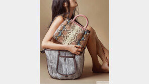 가을 백과 슈즈를 입다. 2 nd skin