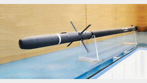 북한 공기부양정 정밀 타격할 유도로켓, 내년 서북도서 배치