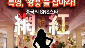 [카드뉴스] 특명 ‘왕훙’을 잡아라…일당이 수천만원?