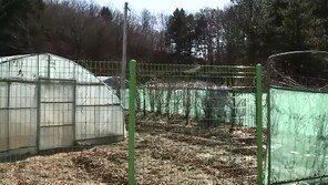 큰 딸 살해 후 암매장 친모 징역 15년…집주인 징역 20년