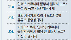 “고객안전 최우선”… 배터리만 교체 검토했다가 급선회