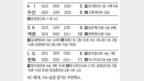 [오늘의 키워드]8년 연속 100만 관중