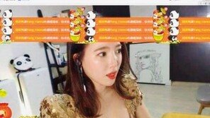 중국 인터넷의 꽃, 한국 BJ