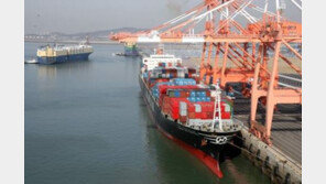 정부, ‘한진사태’에 국적선사 기항지 확대 검토…합동대책 TF 구성