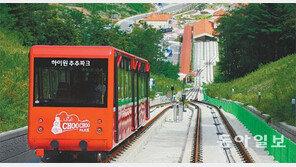 1831억 쏟아붓고… 강원랜드 3개 자회사 적자 눈덩이