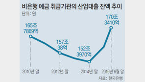 자영업자 2금융권 빚 ‘위험수위’