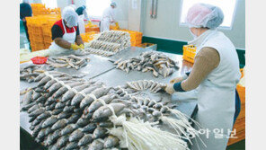 조기값 상승-경기침체-김영란法… 영광굴비 ‘삼중고’