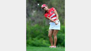 응원이 부족했나?…이보미, 통산 20승 다음 기회에