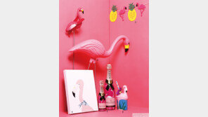 우리가 꿈꾸는 로맨틱 The Dream of Flamingo