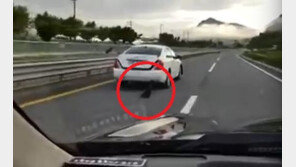 [영상]시속 80km 자동차에 끌려가는 강아지…누리꾼 “처벌 시급”