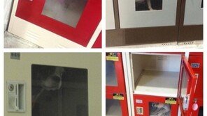 마트 물품보관함 속 강아지..'아직도'