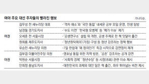 모병제 등 이슈 깃발 들고… ‘제3지대’ 헤쳐모여 나서나
