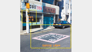 대구시 ‘셉테드’ 활용 여성 범죄 줄인다