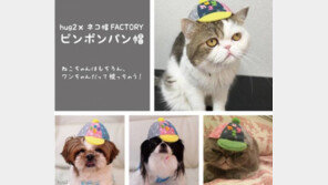 내 고양이를 모델로 한 상품들이 팔려 나간다면