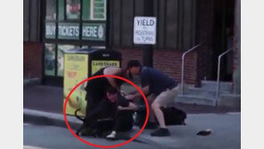 [영상]투견에 목 물린 비글…주인 “도와 달라” 몸부림