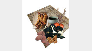 [행복한 추석선물] 의성 흑마늘 추석선물로 딱