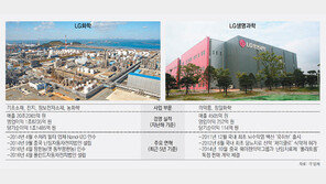 바이오에 꽂힌 LG “화학-생명과학 합병 검토” 