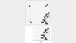 [바둑]역대 국수전 우승 결정국… 수순의 묘미