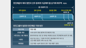 비난여론에 돈줄 푼 한진… 당장 숨통 텄지만 ‘물 건너 물’ 