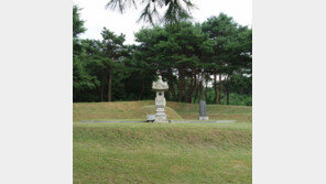 영화 ‘덕혜옹주’ 인기에 남양주 묘소 임시 개방