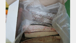 세제원료 기름치를 1마리에 400만원짜리 메로라고 속여…수십만명 피해