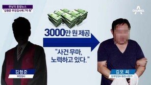 김형준 부장검사 직무정지·특별감찰팀 구성…“검찰총장 철저조사 의지”