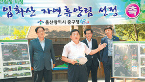 울산 입화산, 도심 자연휴양림으로 재탄생한다