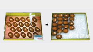 증정품 끼워넣기 ‘꼼수’에 속수무책