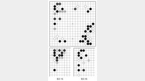 [바둑]역대 국수전 우승 결정국… 펄펄 날지 못하고