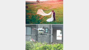 드론 뜨자… 보험시장도 날갯짓 