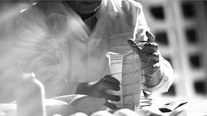 1936개 항목 깐깐한 점검… 6성급 호텔이 인정한 품질