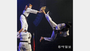 공중발차기 묘기