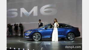 국토부, SM6·그랜저·티볼리 등 ‘인기차’ 명절 앞두고 리콜