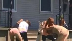 [영상]개까지 동참한 이웃간 난투극에…“개가 여러 마리 사는 듯”