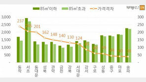 서울 자치구 절반, 3.3㎡당 매매가 소형이 대형 추월