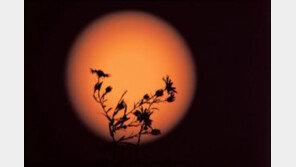 추석 당일, 구름 사이로 보름달…“귀경길·성묘길 차량, 안개에 유의”