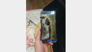 갤럭시 노트 7 공식 리콜에…美언론 “한달이면 삼성전자 평판 손실 사라질 것”