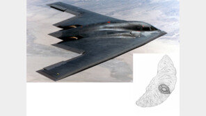 [책의 향기]똑똑한 씨앗의 생존을 위한 놀라운 진화