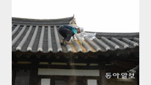 경북문화재돌봄사업단 지진 응급복구 활약