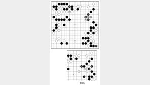 [바둑]역대 국수전 우승 결정국… 뜻밖의 수상전