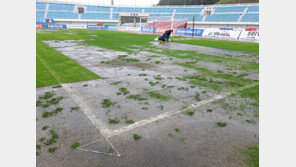 [사커토픽] 프로축구가 잔디 때문에 취소되다니…
