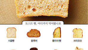 토스트의 놀라운 세계~ Toast to Toast!