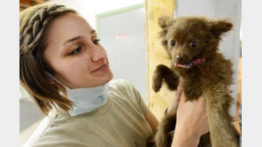 동물병원만 가면 통제안되는 개·고양이들 왜?