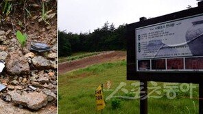 [이야기가 있는 마을 ①] 고독한 유배자의 땅, 고흥… 이제 그곳은 ‘지붕 없는 도예 박물관’