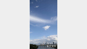 파란 가을 하늘에 물들겠네