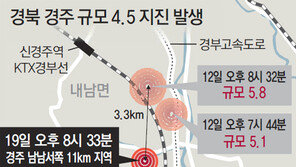 경주 또 지진 발생, 주택·마당 균열 등 12건 재산 피해…문화재 피해는 없는 듯