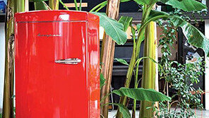 이탈리아 프리미엄 칼라냉장고 봄파니 국내 첫 출시