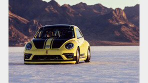 역사상 가장 빠른 ‘딱정벌레’ 550마력 비틀 LSR