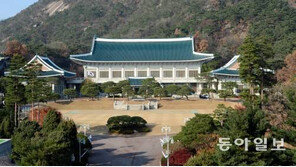 “‘권력 핵심 실세’는 최순실” 보도에…靑 관계자 “언급할 가치 없다”