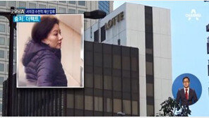 전 재산 압류 ‘샤롯데’ 서미경, 재산 보니…부동산만 1800억대